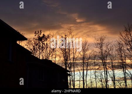 Coucher de soleil orange vif sur l'arrière-cour avec silhouettes d'arbres en été Banque D'Images