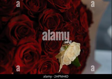 Bouquet de roses rouges, bague d'or pour femmes avec une pierre. Bouquet de fleurs rouges. Une offre de mariage Banque D'Images