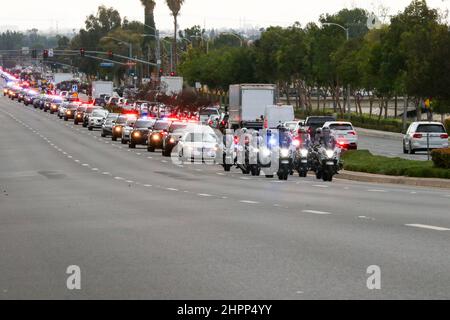 La Habra, Californie, États-Unis. 22nd févr. 2022. 22nd février 2022, la Habra, Californie, États-Unis: Des agents de moto dirigent le cortège funéraire de l'officier déchu Nicholas Vella du bureau du coroner du comté d'Orange au service funéraire communautaire de la Habra, CA. Vella, un vétéran de 14 ans du département de police de Huntington Beach, est décédé samedi lorsque son hélicoptère s'est écrasé dans Newport Harbour. (Image de crédit : © Ron Lyon/ZUMA Press Wire) Banque D'Images