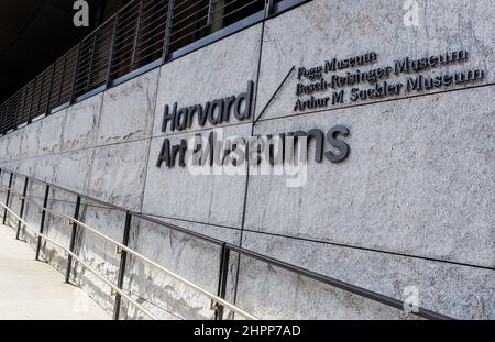 Cambridge, Massachusetts, États-Unis - 19 février 2022 : les musées d'art de Harvard sont composés de trois musées distincts. Banque D'Images