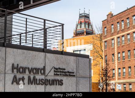 Cambridge, Massachusetts, États-Unis - 19 février 2022 : les musées d'art de Harvard sont composés de trois musées distincts. Banque D'Images