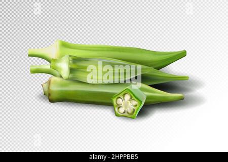 Jeune okra frais isolé sur fond transparent. Vecteur réaliste de qualité, illustration 3D Illustration de Vecteur