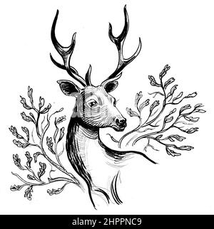 Tête de cerf et branches d'arbre. Dessin noir et blanc Banque D'Images