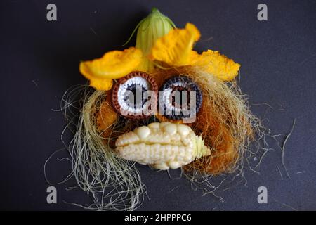 Drôle de visage mis en place à partir de la nourriture, produit agricole de jardin sur le toit, petit maïs, fleur de citrouille, soie de maïs et les yeux crochet de fil faire mignon Banque D'Images