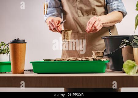 Processus de préparation des semis prépendés pour la nouvelle saison. Personne méconnaissable. Concept de jardinage à la maison. Vie domestique et passe-temps Banque D'Images
