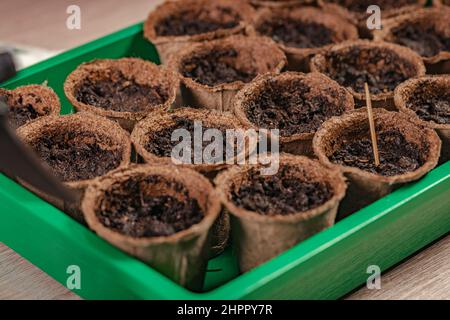 Pots de tourbe pour semis avec sol. Processus de préparation des semis prépendés pour la nouvelle saison. Concept de jardinage à la maison. Vie domestique et passe-temps. C Banque D'Images