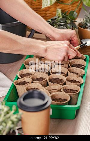 Les mains des femelles préparent des pots de tourbe avec du sol pour la plantation de semences. Processus de préparation des semis prépendés pour la nouvelle saison. Concept de jardinage à la maison. À faire Banque D'Images