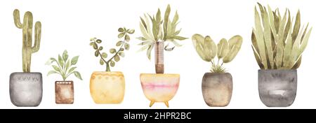Falaise de plante intérieure de boho. Décoration moderne aquarelle. Maison plante verdure éléments floraux. planifier art, scrapbooking Banque D'Images