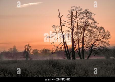 Waverley Lane, Elstead. 23rd février 2022. Un froid et givré début de journée pour les comtés d'origine. Des conditions glacielles le long de la rivière Wey à Thundry Meadows à Elstead, près de Godalming, dans le Surrey. Crédit : james jagger/Alay Live News Banque D'Images