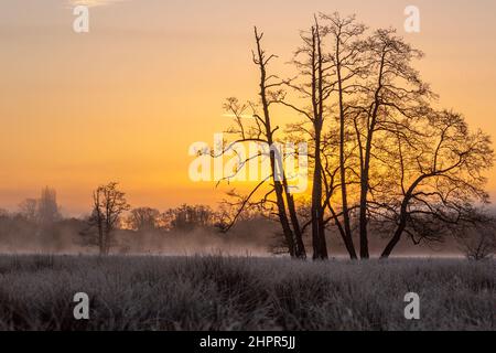 Waverley Lane, Elstead. 23rd février 2022. Un froid et givré début de journée pour les comtés d'origine. Des conditions glacielles le long de la rivière Wey à Thundry Meadows à Elstead, près de Godalming, dans le Surrey. Crédit : james jagger/Alay Live News Banque D'Images