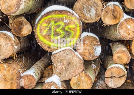 tas de malles en hiver avec des marques à identifier Banque D'Images