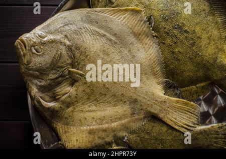 tout le poisson flet est cru et propre, prêt à cuire Banque D'Images