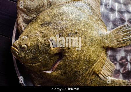 tout le poisson flet est cru et propre, prêt à cuire Banque D'Images