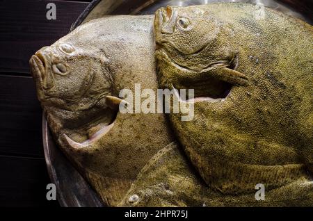 tout le poisson flet est cru et propre, prêt à cuire Banque D'Images