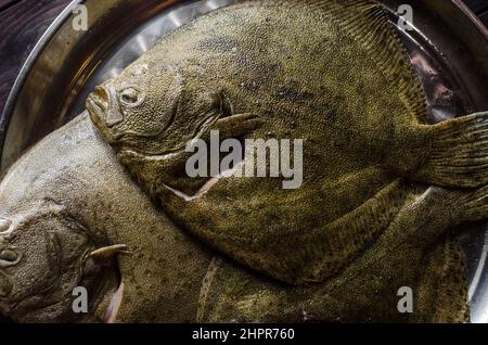 tout le poisson flet est cru et propre, prêt à cuire Banque D'Images