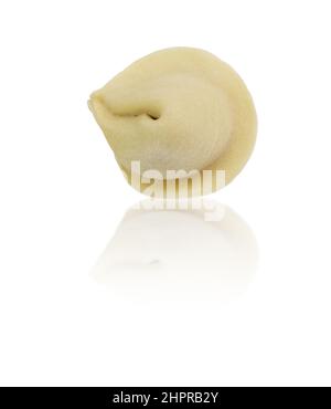 Boulettes, pelmeni, raviolis - isolées sur blanc avec un chemin de coupure Banque D'Images