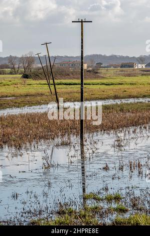 Une ancienne ligne électrique désutilisée dans la réserve naturelle de Bosco di Tanali, Pise, Italie Banque D'Images