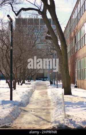 Le chemin menant à la Crown Hall de l'ITI depuis le nord. Banque D'Images