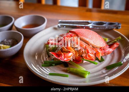 Un gros crabe rouge sur une assiette blanche dans un restaurant de fruits de mer à Quy Nhon. Banque D'Images