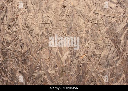 Texture du panneau de particules orientées, OSB. Panneau en bois structurel étanche polyvalent qui résiste à la déflexion, au délaminage et au gauchissement. Banque D'Images