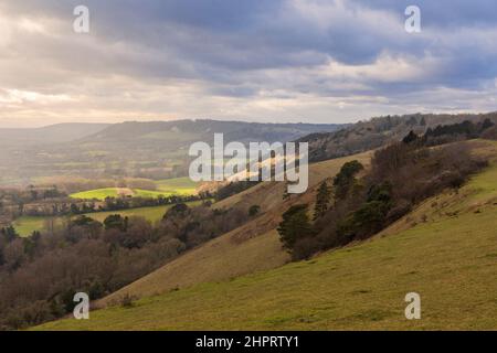 Vue de l'autre côté des collines de Surrey depuis Colley Hill Reigate Surrey, au sud-est de l'Angleterre Banque D'Images