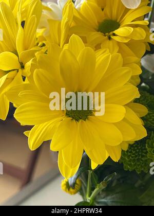Artichaut de Jérusalem, fleurs jaune vif à la lumière du jour. Helianthus tuberosusa espèce de plantes herbacées tubereuses vivaces du genre Sunflower Banque D'Images