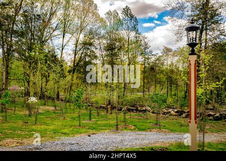 Vue sur le feuillage des arbres de Springtime avec rochers sur une route de campagne le jour du printemps Banque D'Images