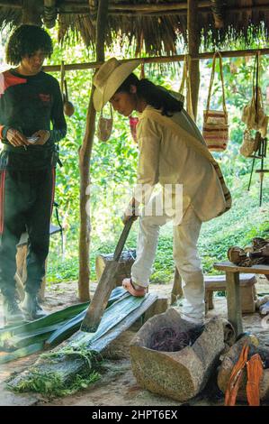 Une démonstration par des populations indigènes de Kogi à un groupe de tournée dans la Sierra Nevada de Santa Marta en Colombie Banque D'Images