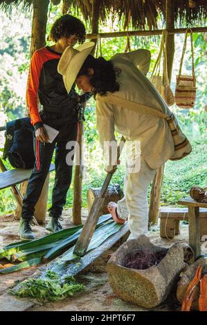 Une démonstration par des populations indigènes de Kogi à un groupe de tournée dans la Sierra Nevada de Santa Marta en Colombie Banque D'Images