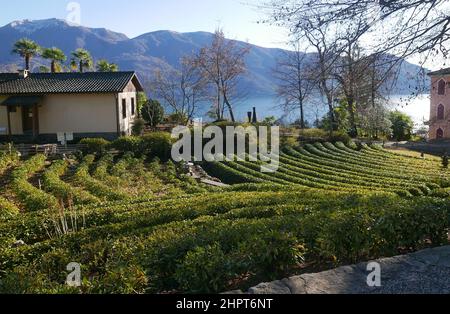 Suisse, Tessin, Ascona, la maison de thé, Monte Verita Banque D'Images