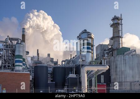 Industrie des pâtes et papiers Smurfit Kappa à Pitea, Suède Banque D'Images