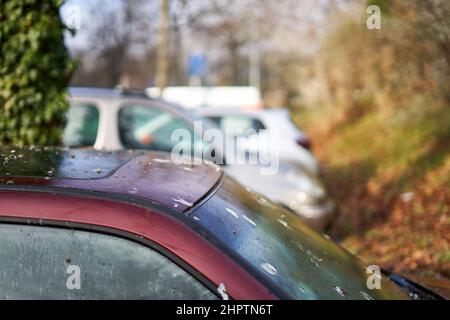 Fientes d'oiseaux (Vogelkot) sur le véhicule. Les excréments des animaux endommagent la peinture de la voiture. Toit automatique et pare-brise contaminés. Banque D'Images