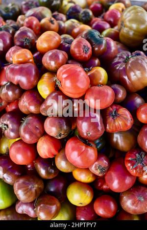 Pile multicolore de tomates biologiques mûres et savoureuses à l'ancienne de divers cépages, Browntown, Wisconsin, États-Unis Banque D'Images