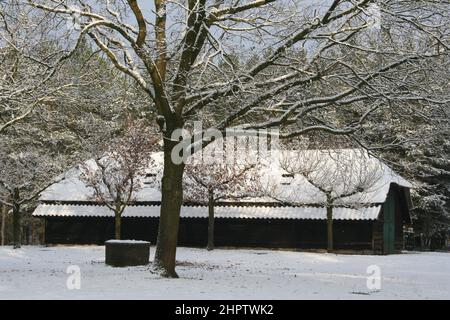 Paysage enneigé d'un pli de mouton dans une réserve naturelle. Staatsbossen de Sint Anthonis, pays-Bas, Europe. Banque D'Images