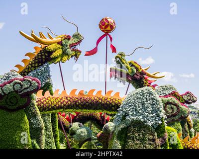 Sculpture de plantes de deux Dragons luttant pour un bal : une sculpture construite à partir de plantes de couleur variable dépeint deux créatures de type dragon à cornes vifiant pour une balle ou un bâton. Fait partie de MosaiCanada qui a célébré l'anniversaire de 150th du Canada. Banque D'Images