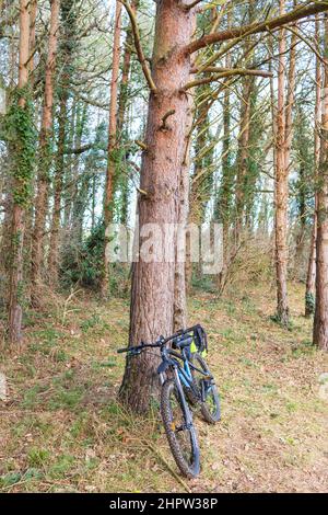 Wylam, Northumberland, Angleterre: 8th février 2022: Ebike (e-bike) dans le nord-est lors d'une journée d'hiver ensoleillée. E-VTT garés (personne) Banque D'Images