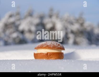 Pain traditionnel finlandais avant Pâques ou pain prêté avec de la crème et de la pâte d'amande et du sucre en poudre sur le dessus dans la neige fraîche profonde dans la forêt d'hiver. Banque D'Images