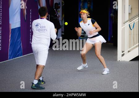 Doha, Qatar - 23 février 2022, Elise Mertens de Belgique avant le troisième tour de l'Open de Qatar TotalEnergies, tournoi de tennis WTA 1000 le 23 février 2022 2022 au complexe de tennis et de squash de Khalifa à Doha, Qatar - photo : Rob Prange/DPPI/LiveMedia Banque D'Images