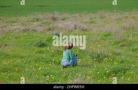 une fille dans un pré photographiant des fleurs Banque D'Images