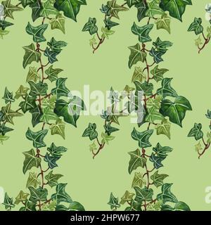 Aquarelle illustration de l'ivy botanique sans couture. Motif botanique sans couture de la branche lierre. Feuilles de lierre vert peintes à la main, fond vert. Banque D'Images