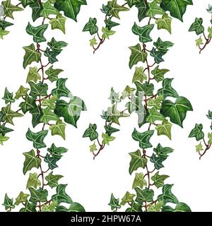 Aquarelle illustration de l'ivy botanique sans couture. Motif botanique sans couture de la branche lierre. Banque D'Images