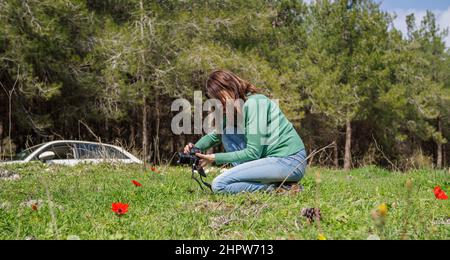 une fille dans un pré photographiant des fleurs Banque D'Images