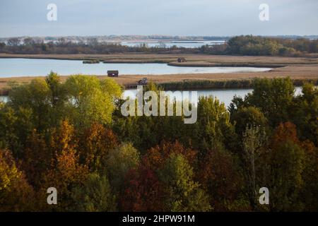 Vue panoramique sur le lac de Tisza en Hongrie, par un beau jour d'automne Banque D'Images