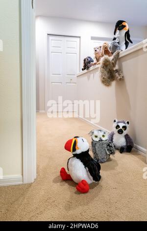 Les animaux farcis jouant à suivre le leader, comme ils doivent maintenant grimper ou sauter sur un mur. Banque D'Images