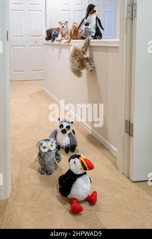 Les animaux farcis jouant à suivre le leader, comme ils doivent maintenant grimper ou sauter sur un mur. Banque D'Images