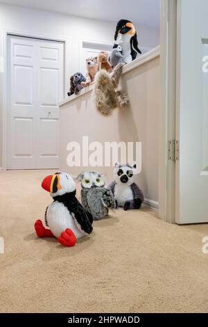 Les animaux farcis jouant à suivre le leader, comme ils doivent maintenant grimper ou sauter sur un mur. Banque D'Images