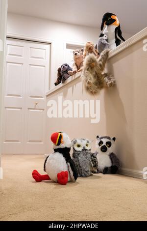 Les animaux farcis jouant à suivre le leader, comme ils doivent maintenant grimper ou sauter sur un mur. Banque D'Images