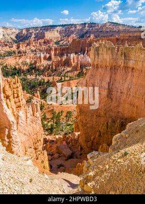 Beau paysage à Bryce Canyon avec magnifique pierre formation comme amphithéâtre, des temples, des chiffres dans la lumière du matin Banque D'Images