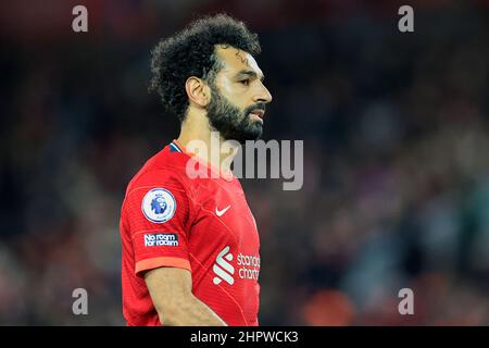 Liverpool, Royaume-Uni. 23rd févr. 2022. Mohamed Salah #11 de Liverpool à Liverpool, Royaume-Uni, le 2/23/2022. (Photo de Conor Molloy/News Images/Sipa USA) crédit: SIPA USA/Alay Live News Banque D'Images