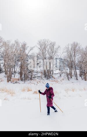 Femme sénior ski de fond dans une tempête de neige fraîche; Vandaveer Ranch; Salida; Colorado; États-Unis Banque D'Images